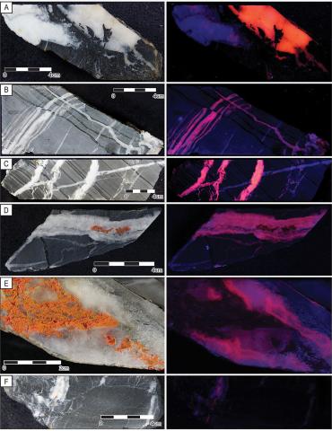 Images of UV-fluorescent calcite veins